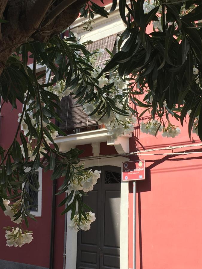 Casa Ega E La Rotonda: Bellissimi Monovani Nel Cuore Di CTA Exteriör bild